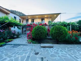 Guesthouse Mtkvari - Nak'alak'evi - 8