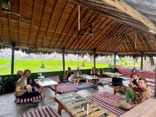 Hippie land farm stay - 4