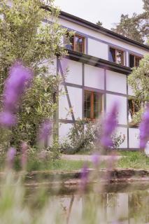 Potęgówka wege Kaszuby - Peaceful Stay by the Lake - 4