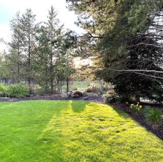 19 Osprey Pointe - 5