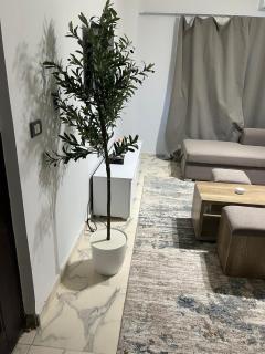 اوسيس مارينا شالية 40 b - 9