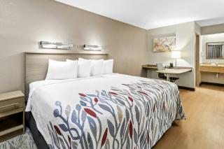 Red Roof Inn Dayton North Airport - 2