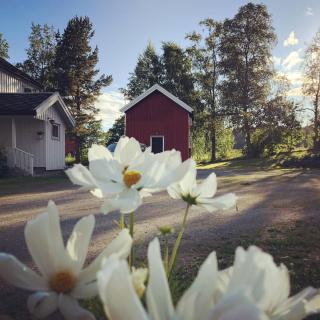 Cozy stabbur on farm in Hegra - 0