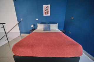 Apartamentos y Loft Laureles - 6