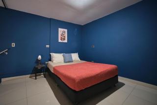 Apartamentos y Loft Laureles - 5