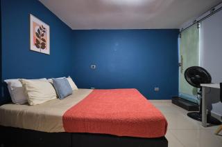 Apartamentos y Loft Laureles - 4