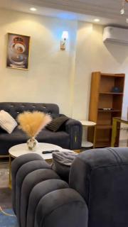 Ultra Modern Apartment 2BR 2BA AC Wi-Fi Camera DIVINA LLC - 4