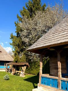 La Patru Daci - Ocna Şugatag - 6