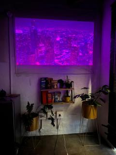 Lofty Hipster Ezra - 9