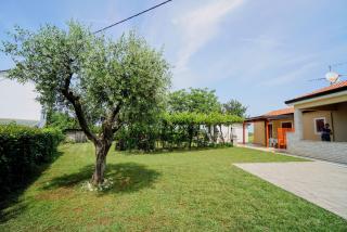 Apartments MIMA - 2