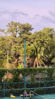 PB332 Bright studio in a cozy location Phuket - 2