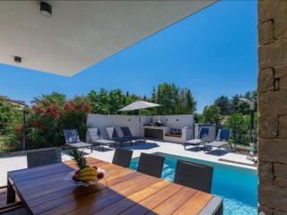 Villa Irena with pool - 1