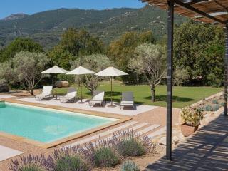 Villa Olivella - 5 ch - Piscine - 5' Saint Cyprien - 9