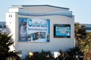 Pelican Isle 510 - 8