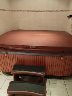 avec Spa et billard - 1