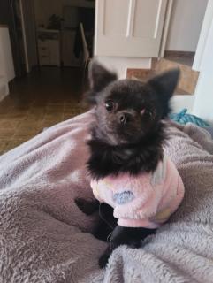 Alloggio DON ESTEBAN - 1