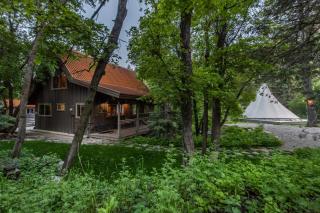 Ridgetop - Cozy Cabin, Hot Tub, Wood burning fireplace - 8