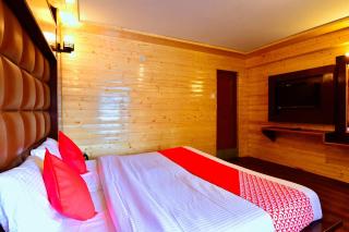 Hotel O Pine View Hotel Manali - 7
