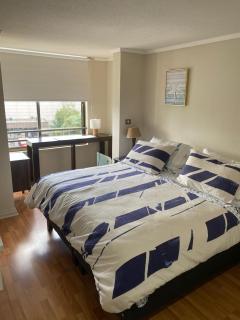 Disfruta de la mejor ubicación en Temuco, 2 Dormitorios, Lado Mall Portal, Clínica Alemana - 3