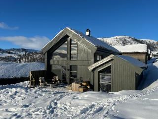 Modern cabin in Rauland with Panorama view - 1