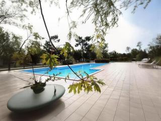 Mobil-home à Hourtin - Terrasse, piscine, proche lac & océan - Hourtin - 7