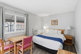 Canada's Best Value Desert Inn & Suites - 0