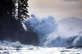 The Great Escape - Port Renfrew & Bunkhouse - 1