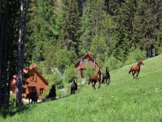 Karawankenpanorama S - 5