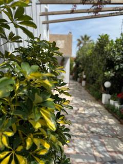 Yanna's Apartments - Sidari - 1