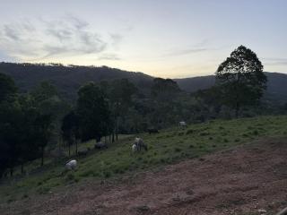 Hayden's Place - 9