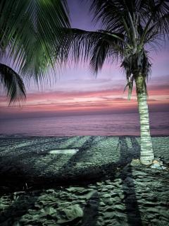 Loft Tropical frente al mar - 2