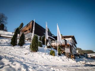 Wohnung in Niedersfeld nahe der Skipiste - 1