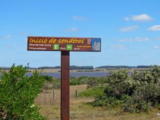 Casa Refugio en el bosque - 9