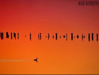 Casa Refugio en el bosque - 4