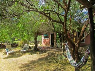 Casa Refugio en el bosque - 1