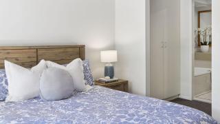 Paws ON Pippi - Your Pet-Friendly Holiday Escape - Holiday Yamba - 1