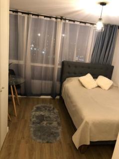 arriendo depto studio - 0