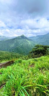 Himabindu Stays - 1