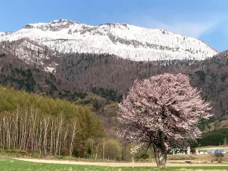 Furano - Hotel / Vacation STAY 35777 - 1