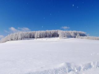 Furano - Hotel / Vacation STAY 35777 - 1