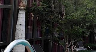 Oriental Glory Hotel - 1