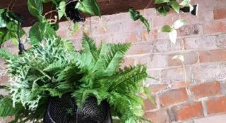 Mintara Hotel - Nan - 5