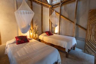 Los Amigos Ecoturismo y Reserva Natural - 6