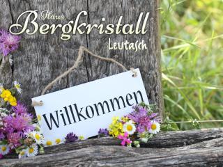 Haus Bergkristall - Leutasch - 9