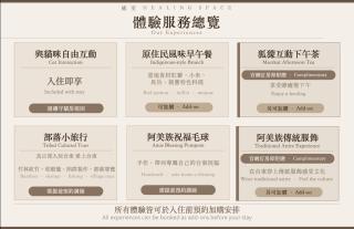 癒室台東貓咪特色民宿-台東縣民宿2094號 - 8