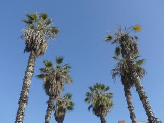 Barranco Chic Loft in the Heart of Barranco - 5