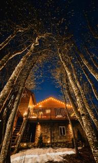 WoodLand Tskhvarichamia Private Cottage in Forest , 25 min from Tbilisi, Easy Access - 8