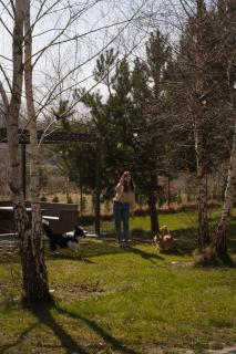 Ciekocino Forest Apartamenty nad morzem - 5