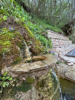 River house National Park Una - 9