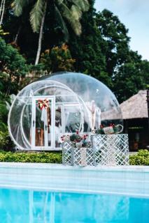 Bubble 8 - Private Pool Jungle Escape Ubud - 6